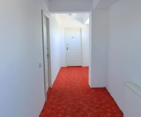 Gymy Констанца