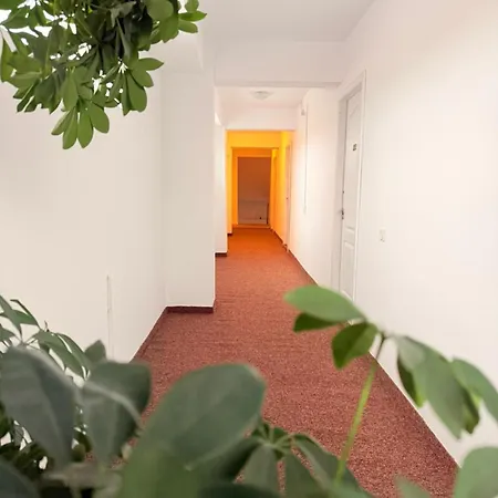 Bed and Breakfast Gymy Κονστάντζα